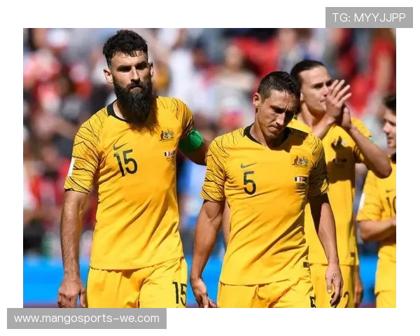 深度解析法甲联赛数据表现与球队竞技趋势洞察报告